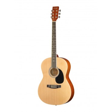 HOMAGE LF-3910 Фольковая гитара 39
