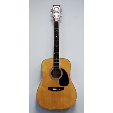 HOMAGE LF-4111-N Акустическая гитара 